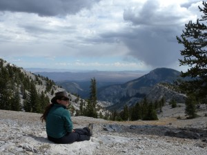 Mountain systems are extremely complex, with many interacting factors over time. These high-elevation conifers may appear disconnected from the deserts below, but in fact they are not.