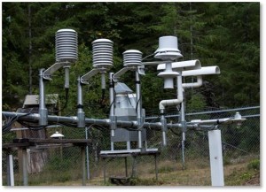 These different radiative shielding designs are being tested side-by-side at the Andrews Experimental Forest.