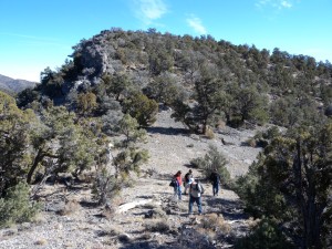 Xiaochun (white hat) had a great time clambering around the ancient semi-arid woodlands of the Sheep Range.