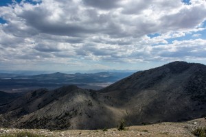 Complex Great Basin topography offers many localized opportunities for old trees to thrive and "weather" the changing climate.