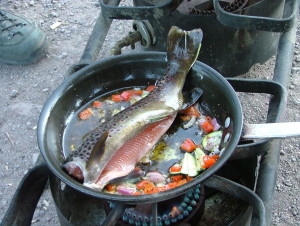 OK, so you can't have this for dinner in the field every night. There just aren't enough fish in the state. So, when the rural eatery becomes your best option, where do you go?