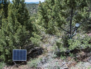 This remote monitoring setup keeps a low-profile, but still manages to connect to my main network several times per day on a schedule. Voltage cutoffs are designed to favor 100% logger operation and reduce power consumption by the radio.